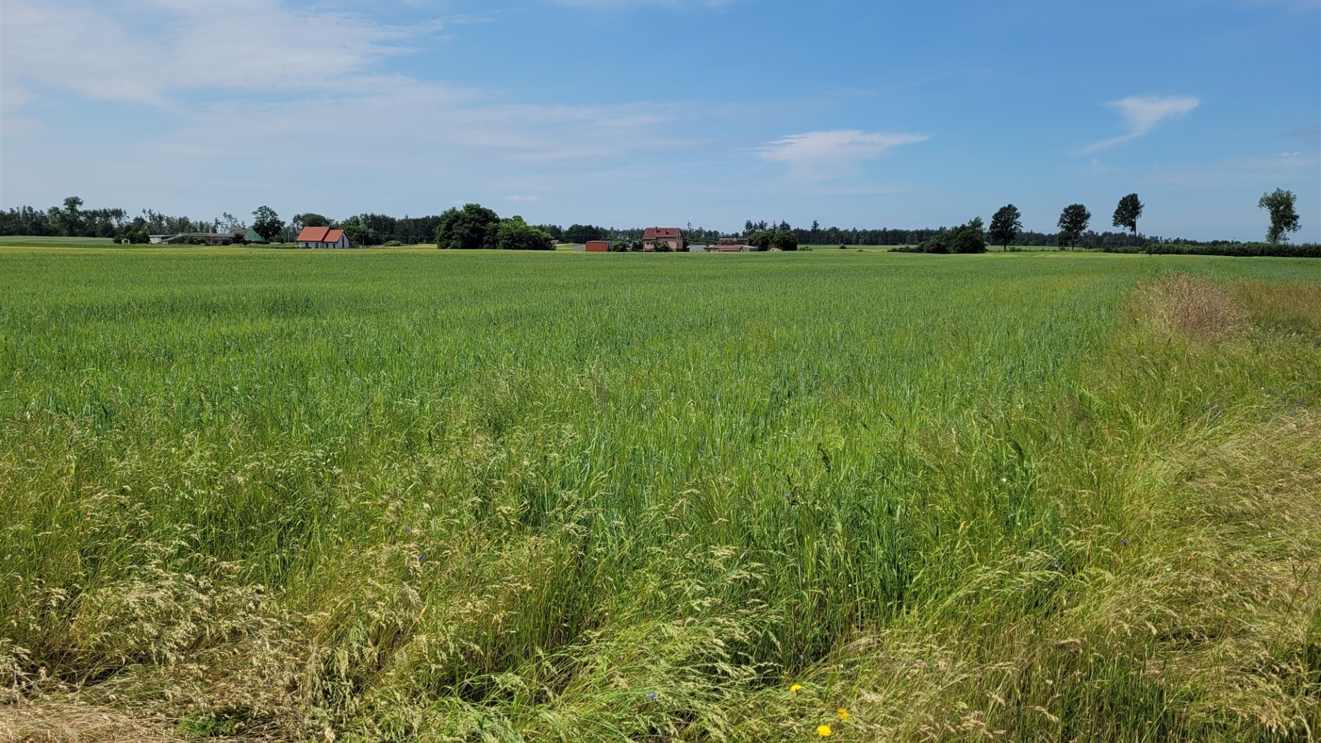 Działka na sprzedaż