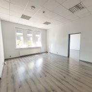 Lokal na wynajem